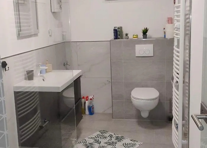 Appartement Einliegerwohnung In Höxter